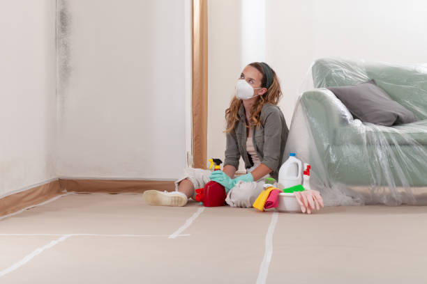 Reliable Mold Testing contractor in Clarklake, MI by WQB Mold Removal